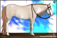 Horse Color:Smoky Black Pearl Sabino Rabicano 