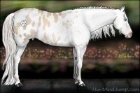 Horse Color:Chocolate Palomino Pearl Blanket 