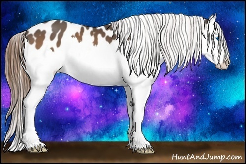 Horse Color:Buckskin Splash Near Leopard 