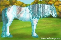 Horse Color:Thunderstruck White Spotted Bay Ice