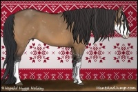 Horse Color:Bay Dun Sabino