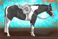Horse Color:Black Sabino Tobiano Brindle