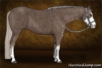 Horse Color:Silver Black Sabino  Brindle