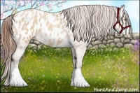 Horse Color:White Spotted Amber Champagne Roan Frame Appaloosa 