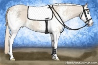 Horse Color:White Spotted Smoky Creme  Brindle