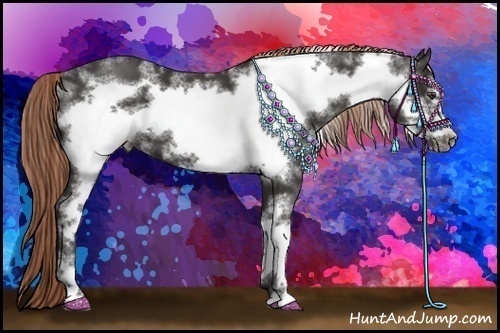 Horse Color:White Spotted Liver Chestnut Frame 