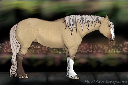 Horse Color:Silver Bay Dun 