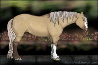 Horse Color:Silver Bay Dun