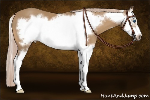 Horse Color:Palomino Sabino Splash Frame 