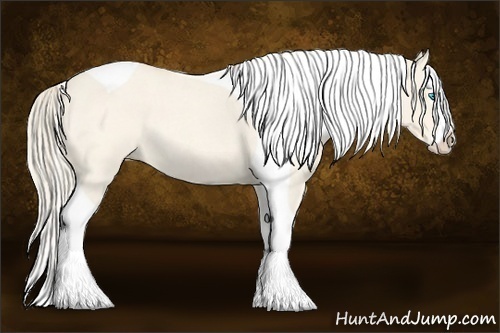 Horse Color:Perlino Roan Splash Tobiano