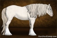 Horse Color:Perlino Roan 