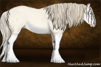 Horse Color:Perlino Roan Dun Splash