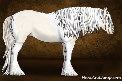 Horse Color:Perlino Roan Dun Tobiano 