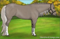 Horse Color:Silver Grullo Tobiano Rabicano