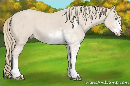 Horse Color:Smoky Creme Sabino  Brindle