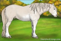 Horse Color:Smoky Creme Sabino Brindle