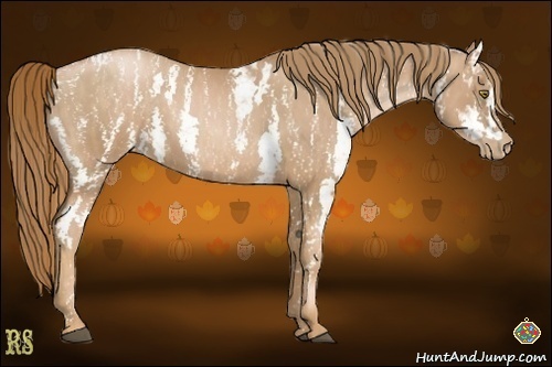 Horse Color:Chestnut Pearl Sabino Brindle