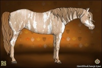 Horse Color:Chestnut Pearl Sabino Brindle