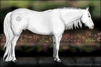 Horse Color:Silver Blue Chinchilla Ice Roan Pearl Appaloosa Brindle