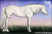 Horse Color:Cremello Sabino Frame  Brindle