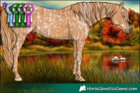 Horse Color:White Spotted Cremello Sabino Brindle