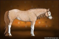 Horse Color:Bay Pearl Sabino  Brindle