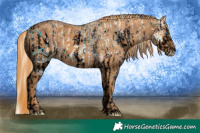 Horse Color:ERROR: UNKNOWN ANOMALY Brindle