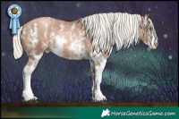 Horse Color:Liver Chestnut Pearl Mushroom Sabino Brindle