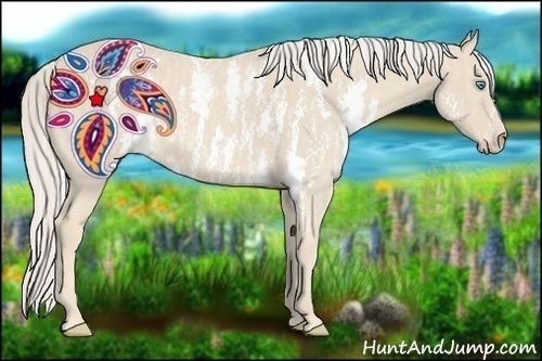 Horse Color:Cremello Sabino  Brindle