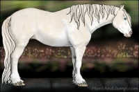 Horse Color:Perlino Sabino Brindle