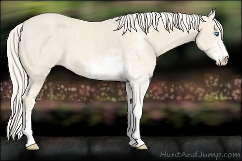 Horse Color:Cremello Sabino Brindle