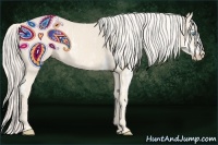 Horse Color:Cremello Sabino  Brindle
