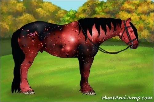 Horse Color:ERROR: UNKNOWN ANOMALY Brindle