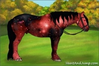 Horse Color:ERROR: UNKNOWN ANOMALY Brindle