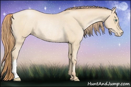 Horse Color:Smoky Black Pearl Rabicano 