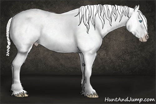 Horse Color:Silver Smoky Grullo Roan Pearl Snowcap Rabicano