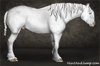 Horse Color:Silver Smoky Grullo Roan Pearl Snowcap Rabicano 