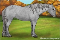 Horse Color:Black Varnish Rabicano 