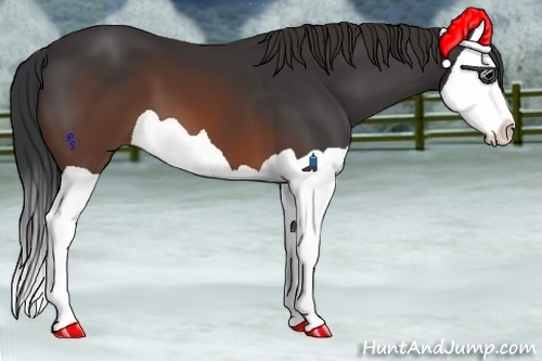 Horse Color:Brown Splash 