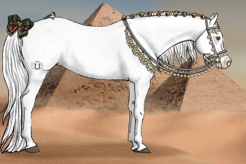 Horse Color:Silver Black Chinchilla Pearl Blanket Rabicano 