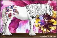 Horse Color:Smoky Creme Appaloosa Rabicano 