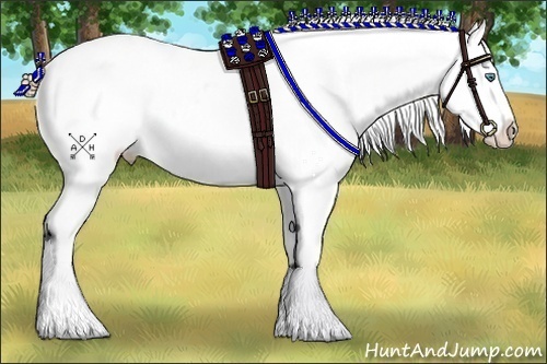 Horse Color:Smoky Black Pearl Sabino Appaloosa Rabicano 