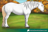 Horse Color:Smoky Black Varnish Rabicano