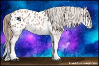 Horse Color:Black Pearl Sabino Near Leopard Rabicano 