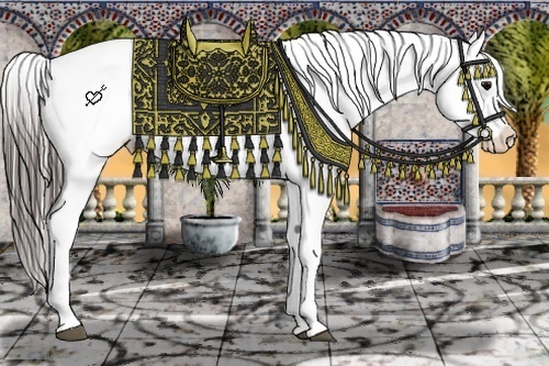 Horse Color:Blue Roan Appaloosa  and Blue Roan Appaloosa 