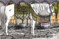 Horse Color:Blue Roan Appaloosa  and Blue Roan Appaloosa 