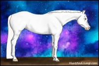 Horse Color:Silver Black Pearl Sabino Varnish