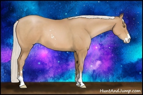 Horse Color:Silver Bay Pearl Sabino 