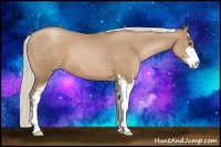 Horse Color:Silver Black Pearl Sabino