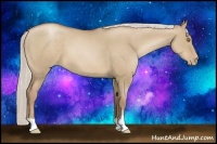 Horse Color:Silver Grullo Pearl 